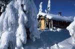 Lappischer Zen: Power-Blockhütting, Extreme-Schwitzing & Snow-Peeling (Foto: VisitFinland)