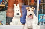 Belgien_DSC_0861_rem_sm2