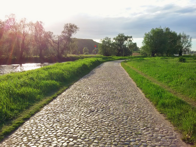 Alle Umwege führen nach Sacramento. Dieser hier über die Elbe-Fähre in Hitzacker (Foto: Munich Globe Bloggers)