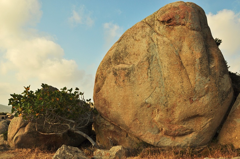Like it! Stonefacebook alias das Orakel von Volax (Foto: Munich Globe Bloggers)