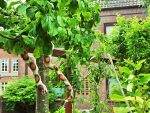 „Das Paradies ist ein Irrgarten. Aber mit einem Mundvoll Erkenntnis findet jeder wieder hinaus‟, sagt Madame Kaa, Bildungscoach und Autorin des Bestsellers „Das Apfel-Prinzip‟ (Foto: Munich Globe Bloggers)