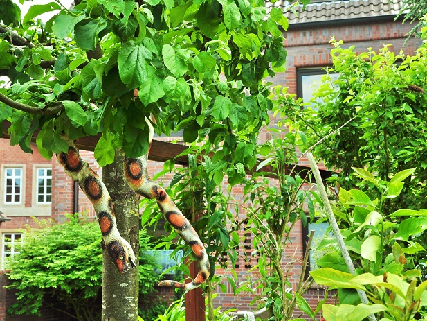 „Das Paradies ist ein Irrgarten. Aber mit einem Mundvoll Erkenntnis findet jeder wieder hinaus‟, sagt Madame Kaa, Bildungscoach und Autorin des Bestsellers „Das Apfel-Prinzip‟ (Foto: Munich Globe Bloggers)