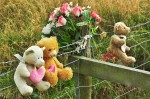 Can't bear it anymore? Walk the Cleveland Way! (Foto: Munich Globe Bloggers)