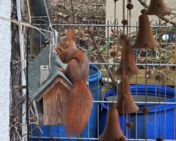 Wuzis Motto unterschreiben wir blanko: Life's nuts. (Foto: Munich Globe Bloggers)